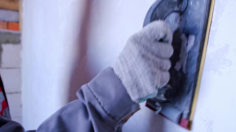 Best Mold Damage Restoration  in Assumption, IL