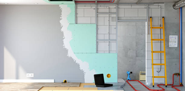 Best Environmental Consulting for Mold Prevention  in Assumption, IL