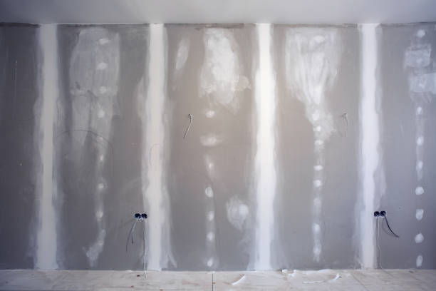 Best Airborne Mold Testing  in Assumption, IL
